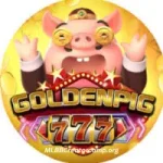 Golden Pig 777 APK